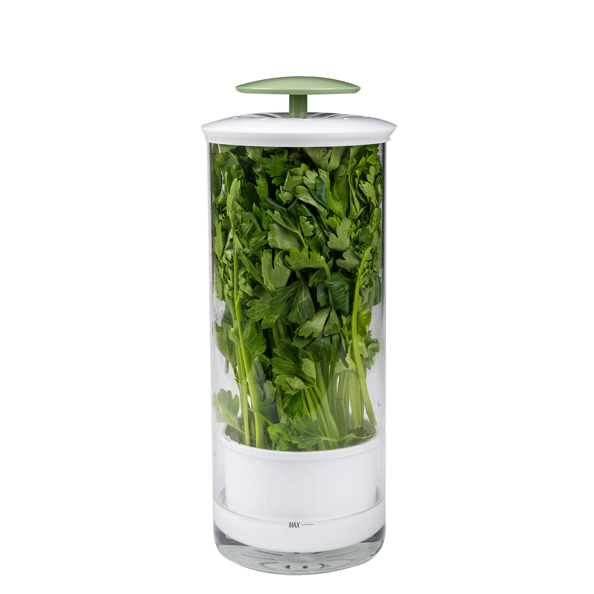 Goodful Herb Keeper Preserver Designed for Optimum Breathable Airflow for Maximum Freshness Water Line Ensures the Use of the Right Amount of Water Stores in your Refrigerator